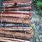 Acacia / Rubber /Pine Firewood/ Mixed Firewood