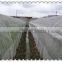 HDPE green agriculture netting