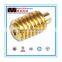 Custom Standard or Non-Standard CNC Machining Precision Worm Gear and Worm