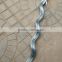 Galvanizing Tomato Spiral Plant Support Factry