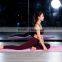 fancy seamless ladies yoga suit
