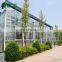 2017 Large Hydroponics Industrial Greenhouse