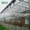 Low cost commercial  agricultural best products glass greenhouse