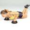 Push-up Exercise Equipment