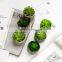 Artificial Bonsai Home Decoration Small Cheap Desktop Plastic Plant Artificial Succulent With Pulp Paper Pot