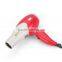 Professional Battery Ceramic No Noise Salon Standing Hair Dryer