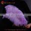 2016 Wholesale White Ostrich Feather 14-16inch for Sale