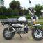 50cc Sport Bike for Sale With EEC