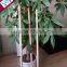 Eucalyptus Wooden Mop Handle/Spin Mop Handle