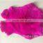 hot selling rex rabbit