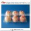 Clamshell Blister fruit packaging tray for peaches and apples 6 pcs