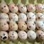 fresh chicken/duck/goose eggs cleanout machine