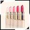 Wholesale Colorful Cosmetic Lipstick /Lasting Moisturizing Lipstick