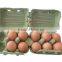 fc Brand Manual Egg Tray Machine With Best Price