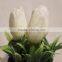 Bulk Fake Artificial Potted Plastic Flower Bouquet White Tulip in Plastic Planter for Sale