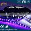 Good Quality 12V Flexible LED Strip Light 5050 LED Lighting Waterproof IP65 Strips Lights Black PCB