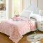 100% Polyester Cartoon Printed Microfiber Coral Fleece Baby Blanket