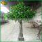 Good quality and price artificial ficus tree plastic artificial ficus tree