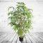 Mini Artificial Buddha Bamboo, Plastic Plants