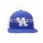 China factory wholesale cheap high quality baseball snapback cap hat
