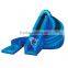 pvc tarpaulin inflatable dolphin corkscrew water slide                        
                                                Quality Choice