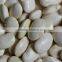 KOSHER supplier canned white kidney beans