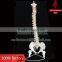 Life-size Vertebral column with pelvis pelvis and femur heads                        
                                                Quality Choice