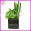 fake pot plant