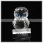 Cute Crystal Owl Glass Figurine For Zoom Takeaway