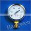 dry pressure gauge
