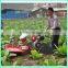 Chinese Cheap Corn Cultivator Ridging Machine