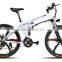 Environmental Friendly Two With Magnesium Wheels E-Bike Double Motor