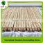 Whosesale Varnished wooden broom handle with cheap price and high quality
