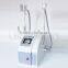 Hot Sales 3D Cryolipolysis Lipo Ultrasonic Loss Weight Slimming Machine OB-CM 02 Lose Weight