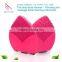 High quality facial cleaning instrument with CE, RoHS,UL and FCC certification