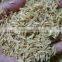 RICE HUSK