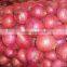 New Crop Fresh Red Onion
