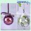 Customized Valentine' s Gift Preserved Rose Flower In Glass with unique preserved flower rose head