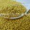 COC with CIQ discount price mixed bee pollen