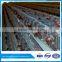 poultry farm chicken house A types of layer hen cage