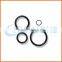 China professional custom wholesale high quality o ring clamps