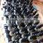 High quality ignition coil DG508 1L2U-12029-AA 1L2Z-12029-AA 1L5Z-12029-AA F7TZ-12029-BA 11202908