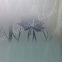 interior decor acid etched glass/ frosted glass with acid etched designs