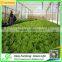 Vertical greenhouse growing system