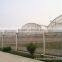 Factory Price Multi-span plastic greenhouse