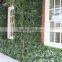 Exterior grade green walls made with Buxus sprays to create a simple green backdrop