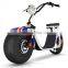 2017 zhejiang factory latest Steel quality citycoco electric ebike fat economic model