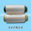 PLA Filament Yarn FDY 50D/48F Poly Lactic Acid Fiber Yarn