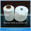 Excellent 100% Polyester Bag Closing Thread For Bag Closing Machine Etc