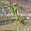 Amusement Theme Park Decor Museum Quality Insect Large Mantis